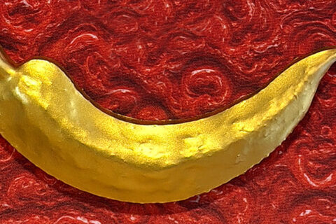 Premio Terre di Campania - 2025